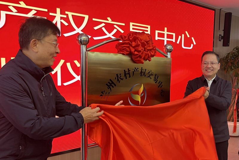 产权交易平台：推动经济高效流转的桥梁